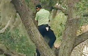 Sergio García trepa a un árbol para lograr un golpe inverosímil