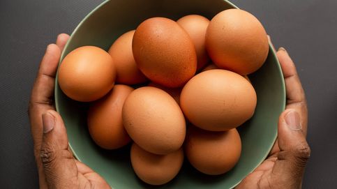 ¿Es bueno comer huevo todos los días?
