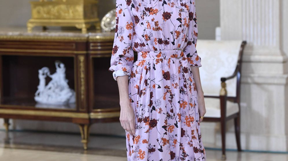 Foto: La reina Letizia, durante la audiencia. (Limited Pictures)