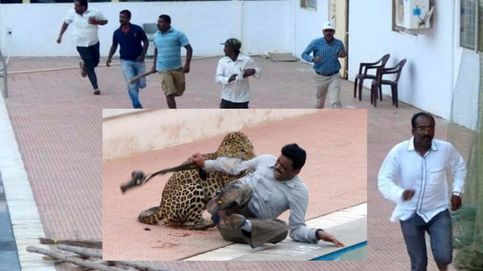 El brutal ataque de un leopardo en un colegio de la India que se ha convertido en viral en Youtube