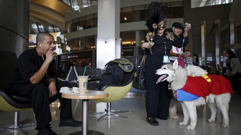 Terapia canina en el aeropuerto de Los Ángeles 