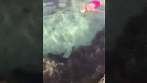 Una mujer saca a un tiburón de una piscina natural y lo libera