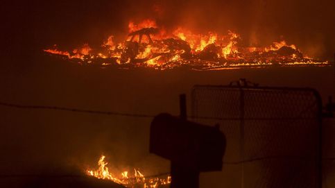 Incendios en el norte de California: un muerto y 25.000 hectáreas quemadas 