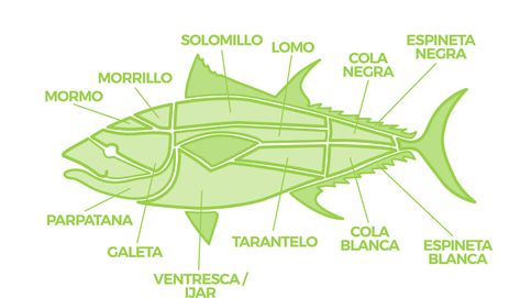 Guía del atún rojo: de la ventresca al morrillo, sus cortes más exquisitos