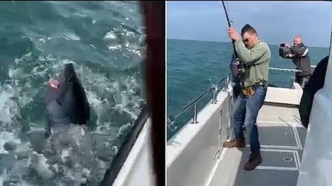 Un pescador captura un tiburón de 250 kilos