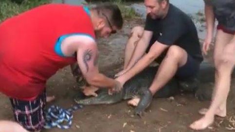 Un caimán arranca el dedo de un turista durante una demostración