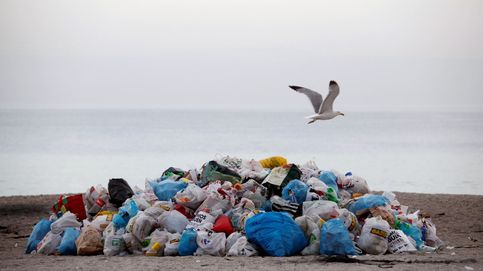 Resaca de San Juan: así limpian las playas tras las hogueras