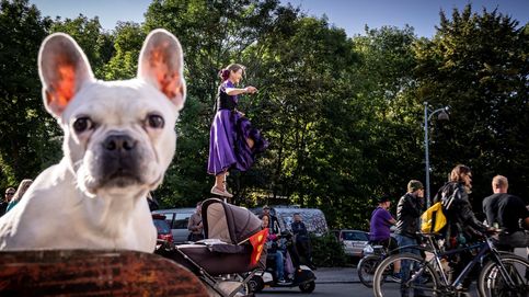 Vendimia en el sur de Francia y 50 aniversario de la ciudad libre de Christiania: el día en fotos 