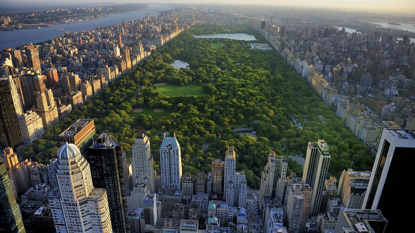 Foto: Vista aérea de Central Park, en Nueva York. (iStock)
