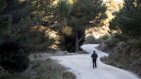 La Sierra de las Nieves: el último bastión natural español