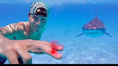 Este 'youtuber' pone a prueba a los tiburones con su propia sangre