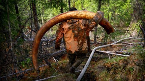 Cazadores de mamuts: la fiebre por recuperar el marfil siberiano