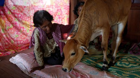 La viuda camboyana que reencontró a su marido en una vaca 