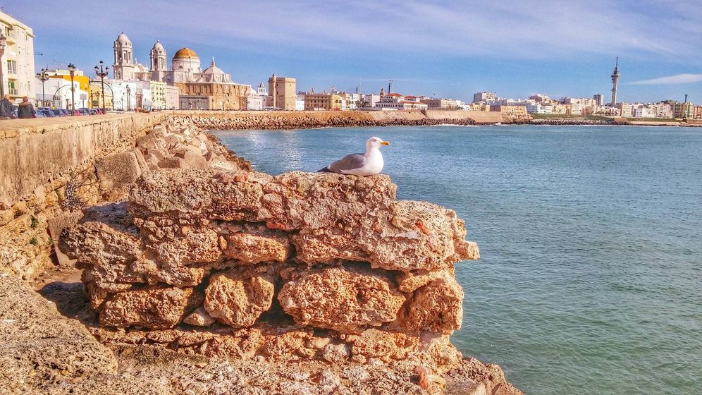 Foto: Puerto de Cádiz. (CC)