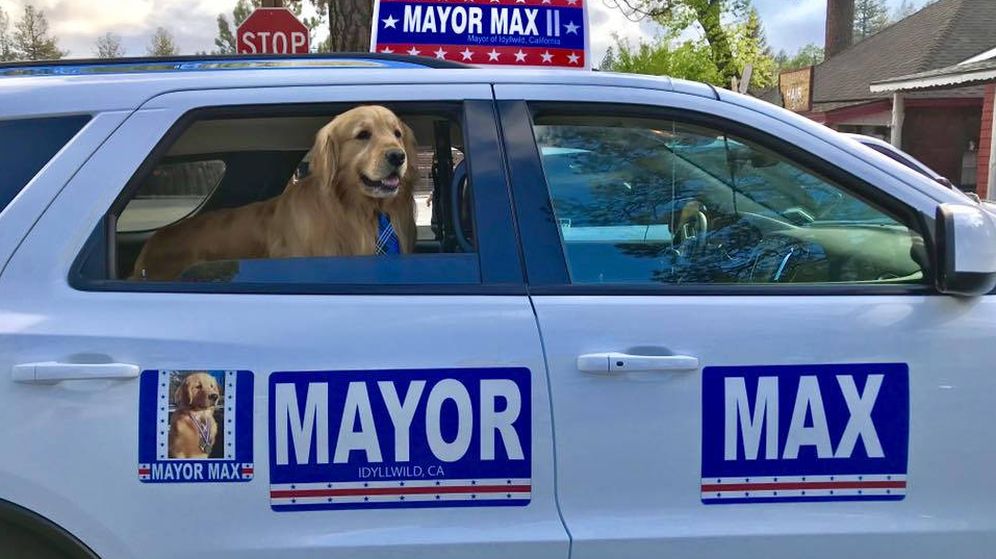Foto: Max, en su coche oficial como alcalde de Idyllwild (Foto: Facebook)