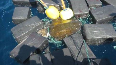 El rescate de una tortuga enredada en siete toneladas de fardos de cocaína