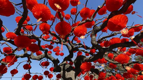 Año nuevo lunar chino y los almendros adelantan su floración: el día en fotos