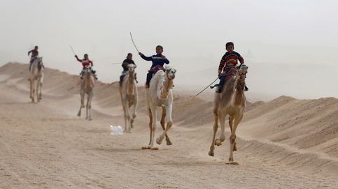 Así son las carreras de camellos en el desierto de Egipto