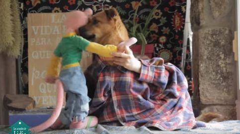 'Tu perrito', la versión de 'Despacito' que conciencia sobre la adopción canina