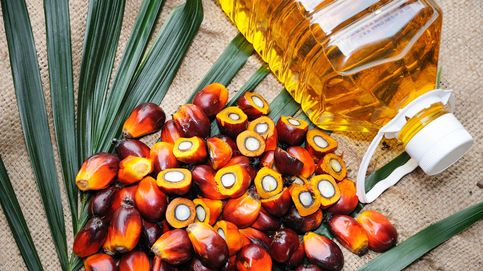 Los nombres con los que se ha camuflado el aceite de palma