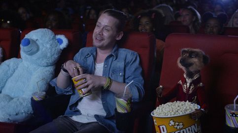 Macaulay Culkin se va de vacaciones con dos suricatas en su regreso al cine