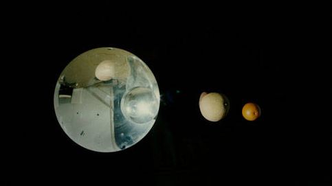 'Lua Cão': un viaje hipnótico a través del tiempo y el espacio