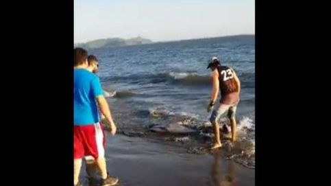 Solidaridad entre especies: un delfín vuelve al mar gracias a la ayuda de unos bañistas