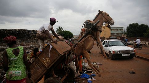 Los 'burros basureros' de Mali