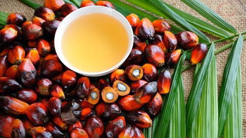 El aceite de palma: qué comidas lo incluyen y cómo te afecta
