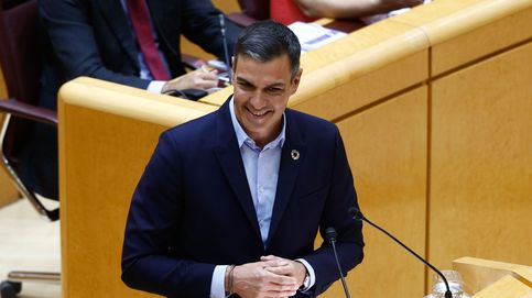 Pedro Sánchez, durante su última intervención en el Senado (EFE)