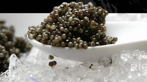Esturiones en agua mineral, el caviar más exclusivo es de España