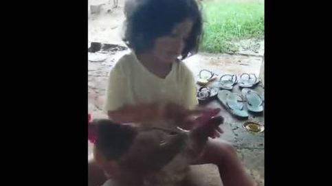 El tratamiento de belleza a su gallina se hace viral