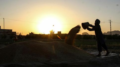 Cosecha del trigo en Kandahar y explosión del volcán de Fuego: el día en fotos