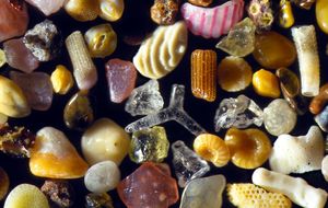 La belleza de lo minúsculo: 24 objetos cotidianos vistos bajo el microscopio