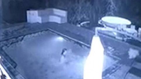 El cocodrilo que ataca a una pareja interrumpiendo su baño nocturno en la piscina de un hotel