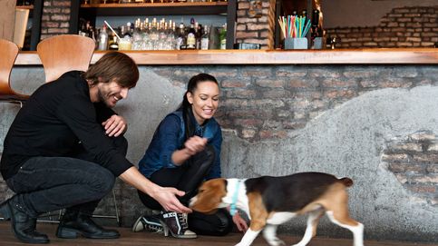 6 restaurantes dogfriendly para visitar con tu mascota en Madrid y Barcelona