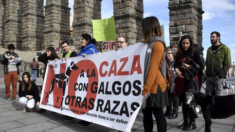 Manifestaciones en toda España en contra de la caza con galgos
