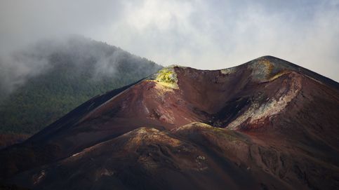 Dos años de la erupción de La Palma y vida natural en Managua: el día en fotos