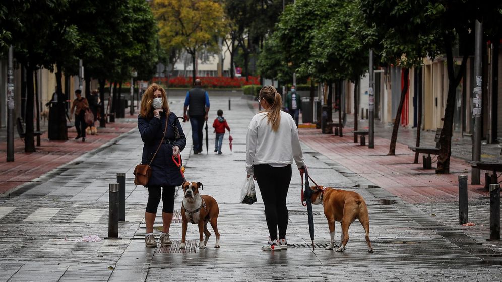 Foto: Personas pasean con sus perros y sus hijos en Sevilla. (EFE)
