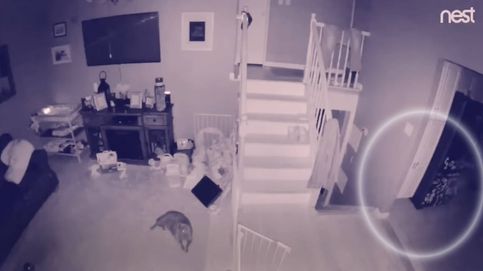 ¿Realidad o fake? El vídeo viral de los fantasmas de un niño y su perro
