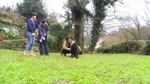 Dos japonesas adoptan a un perro en el Camino de Santiago