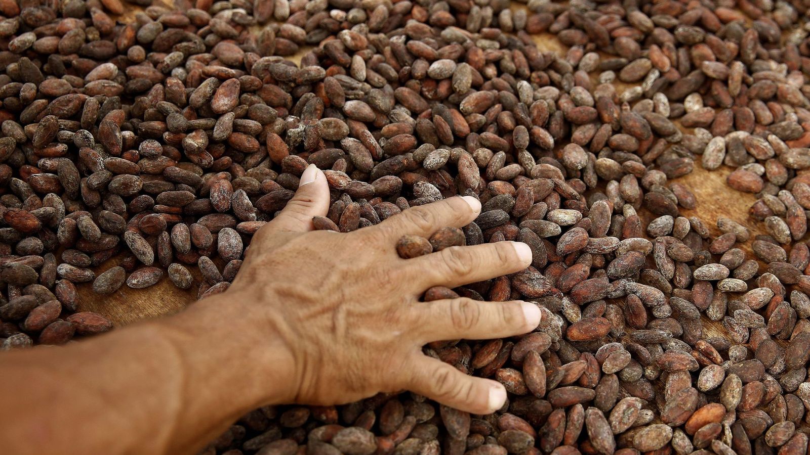 De las Perseidas al chocolate: cuando se puso a llover cacao en Suiza en pleno 2020 thumbnail