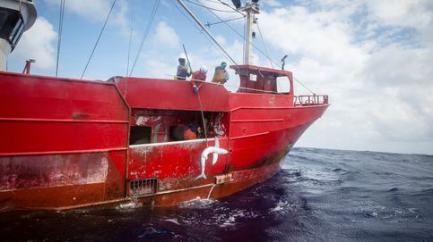 Greenpeace denuncia a un pesquero español por pescar tiburones en aguas del Atlántico
