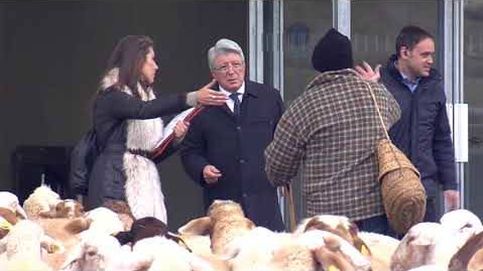 Enrique Cerezo lucha para que el Metropolitano no se le llene de ovejas