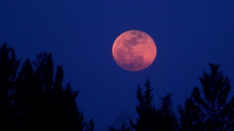 Dónde ver 'luna de sangre' o 'luna roja', el eclipse lunar que podrás ver hoy mismo