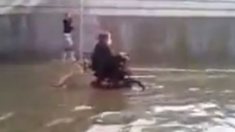 Un perro rescata a su dueño en silla de ruedas de una inundación