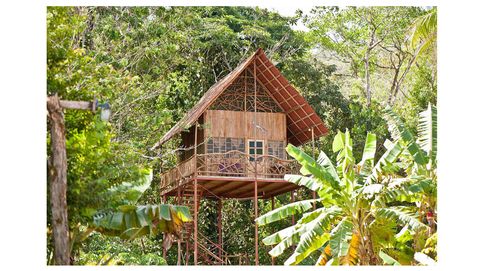Una casa 'ecofriendly' en el bosque: el alojamiento más requerido del mundo está en Airbnb