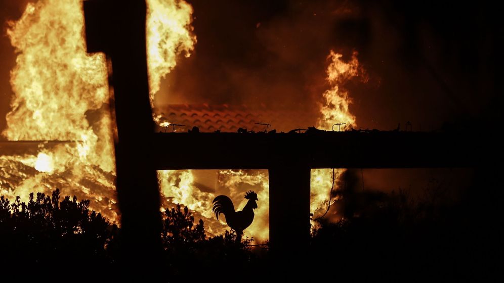 Foto: Los ola de incendios que estÃ¡ arrasando Grecia, en 50 fotos