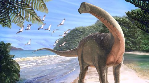 Descubren el 'Mansurasaurio', el dinosaurio que apareció entre las pirámides