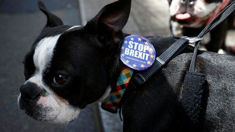 Cientos de perros dicen no” al Brexit en las calles de Londres